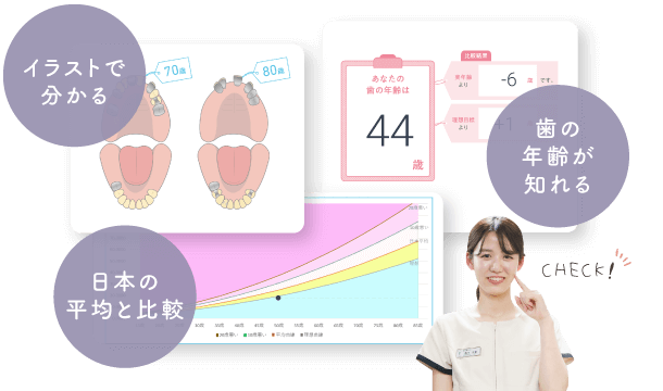 イラストで分かる、日本の平均と比較、歯の年齢が知れる